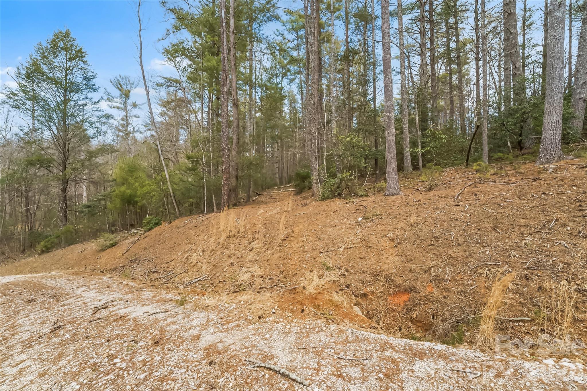 2086 October Drive, Unit 147 Nebo, NC 28761 - Photo 13 of 29 a view of empty room