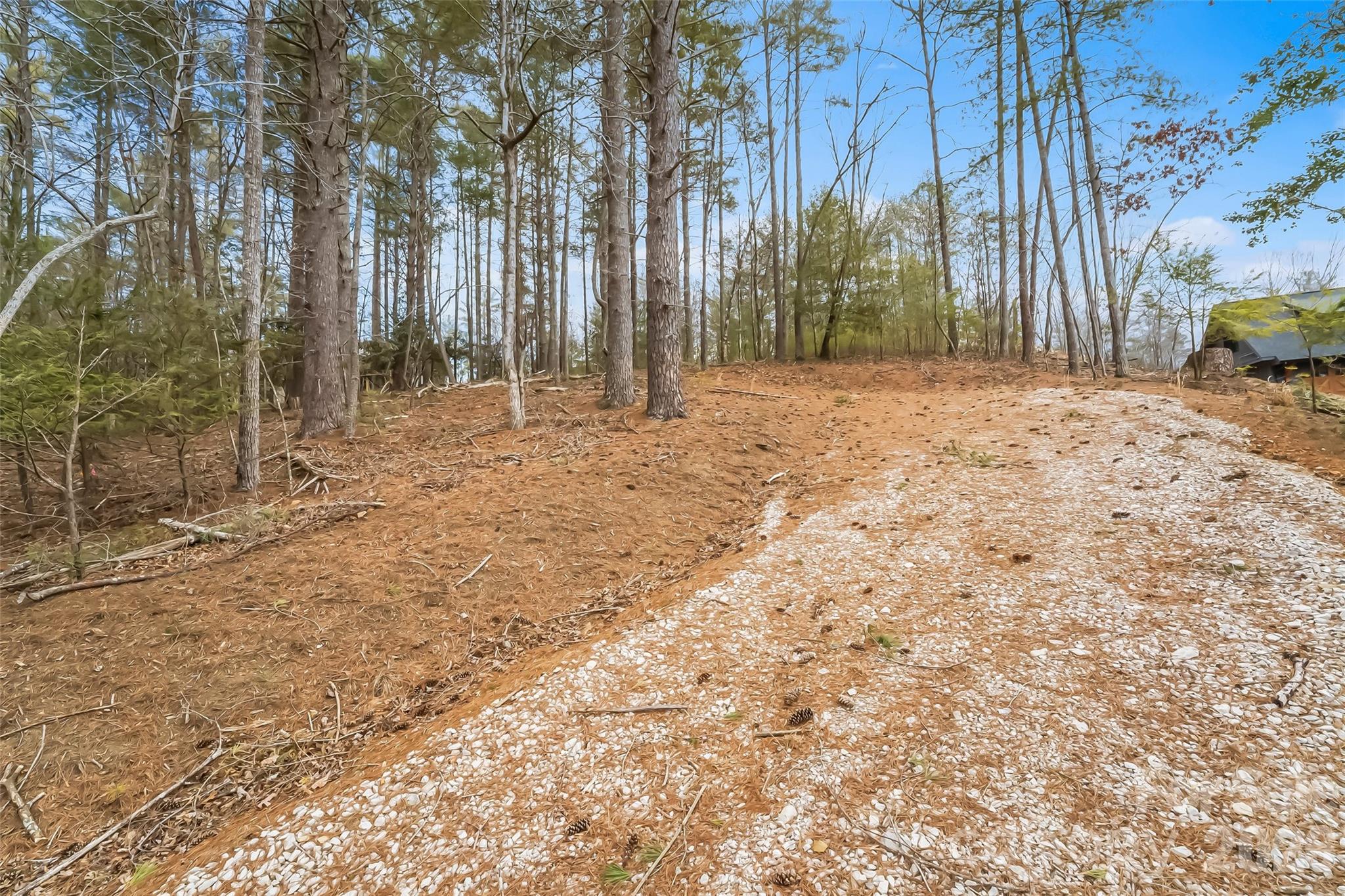 2086 October Drive, Unit 147 Nebo, NC 28761 - Photo 14 of 29