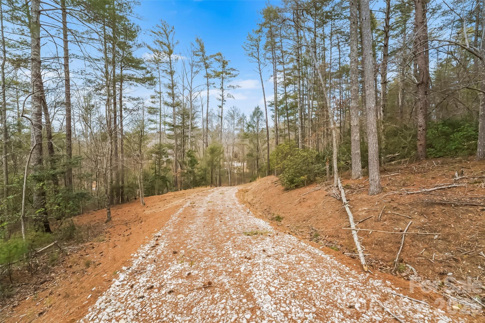2086 October Drive, Unit 147 Nebo, NC 28761 - Photo 15 of 29 a view of a backyard of the house