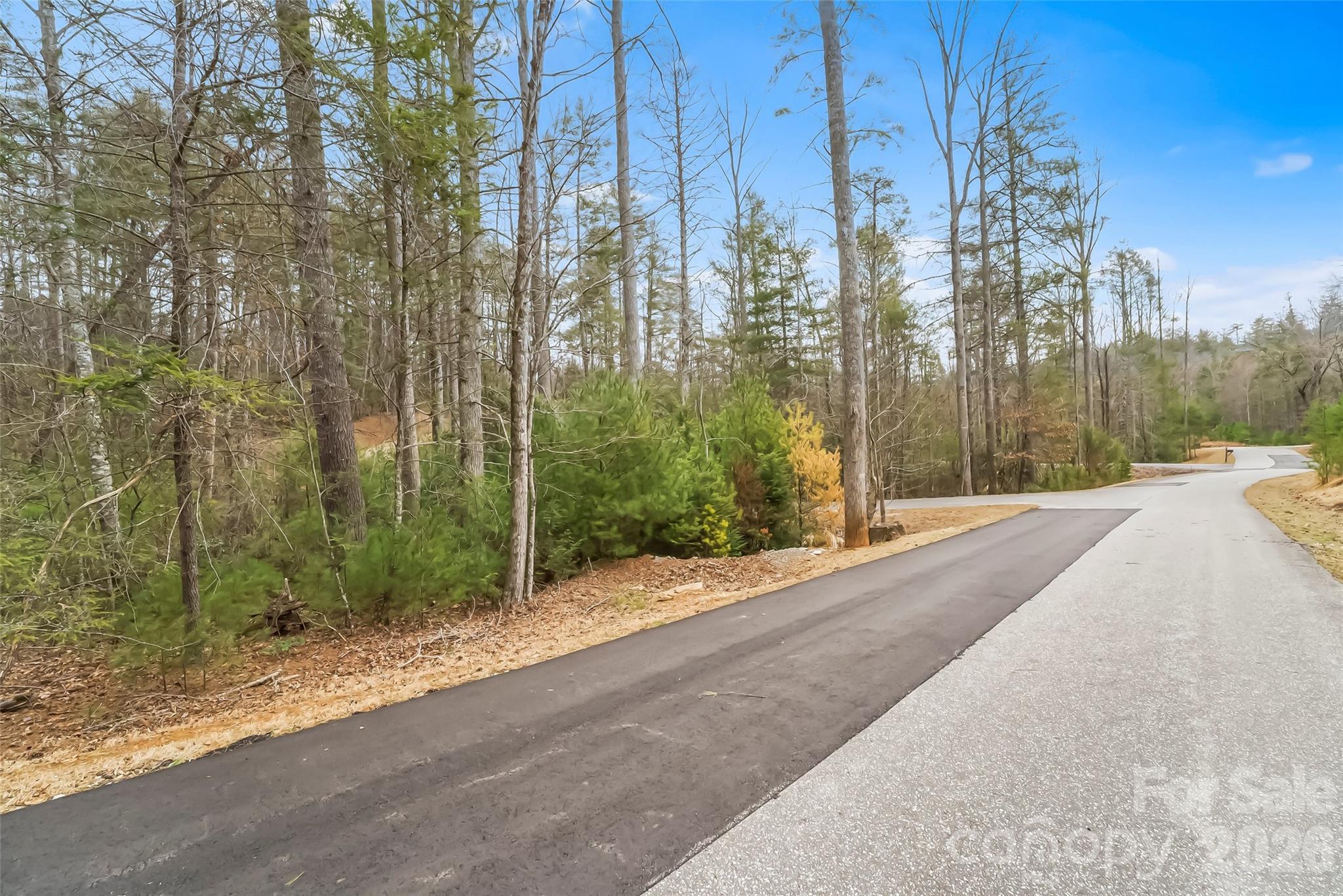 2086 October Drive, Unit 147 Nebo, NC 28761 - Photo 16 of 29 a view of a road with a trees