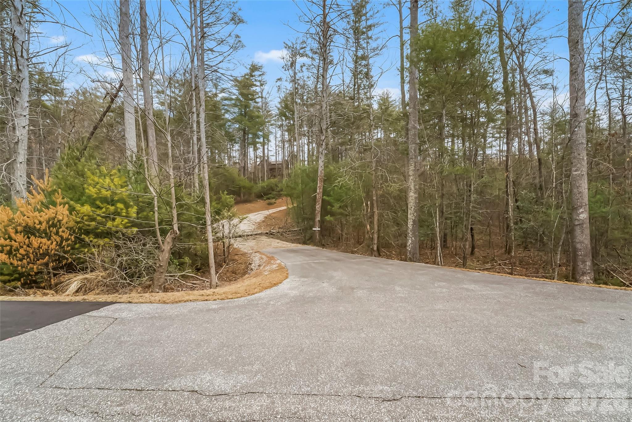 2086 October Drive, Unit 147 Nebo, NC 28761 - Photo 18 of 29 a backyard of a house with lots of green space