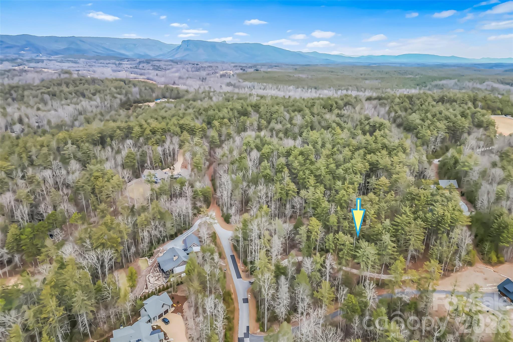 2086 October Drive, Unit 147 Nebo, NC 28761 - Photo 6 of 29 a view of a yard with an outdoor space