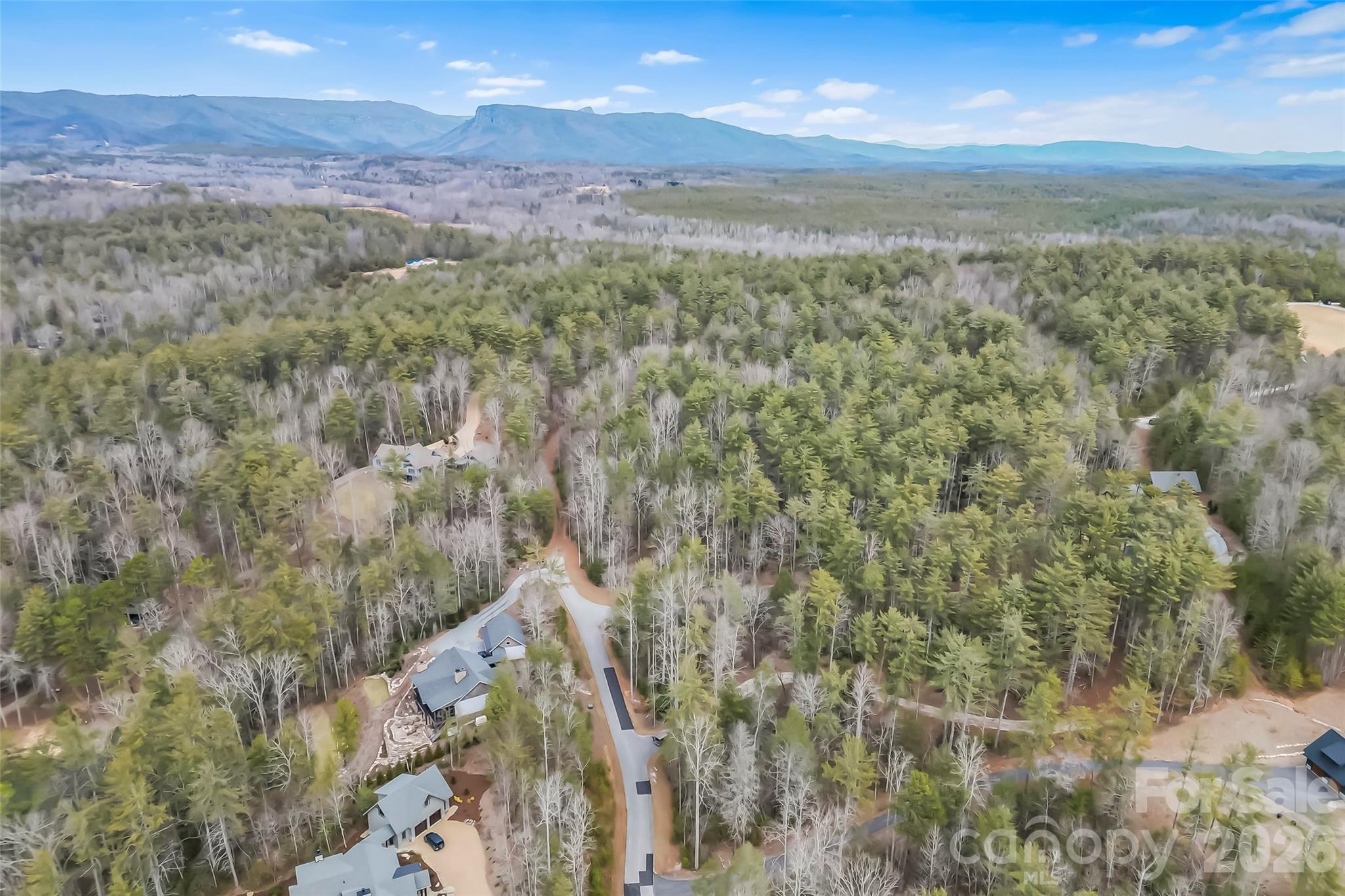 2086 October Drive, Unit 147 Nebo, NC 28761 - Photo 7 of 29 a view of a yard with an ocean