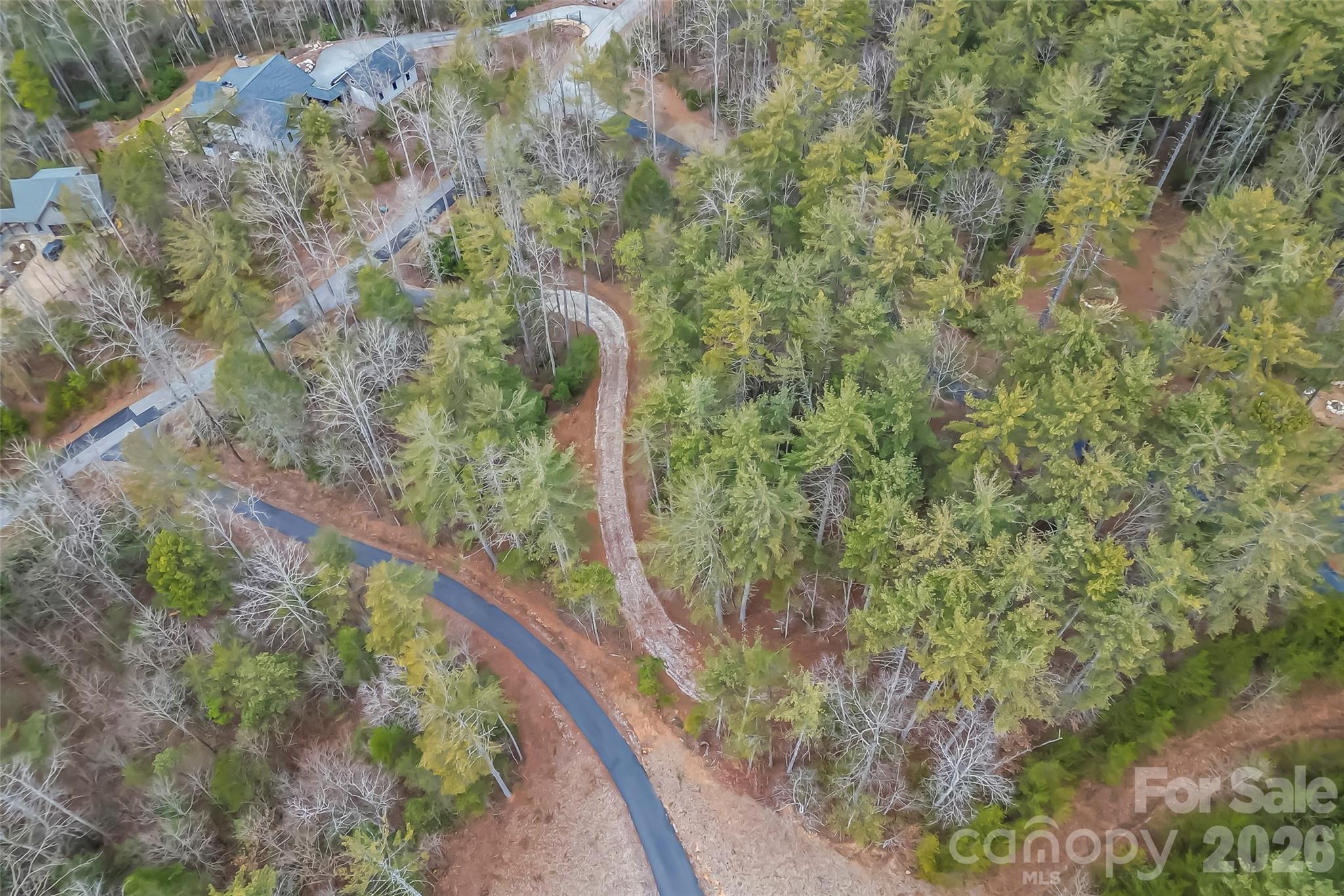 2086 October Drive, Unit 147 Nebo, NC 28761 - Photo 10 of 29 a view of a forest with a tree