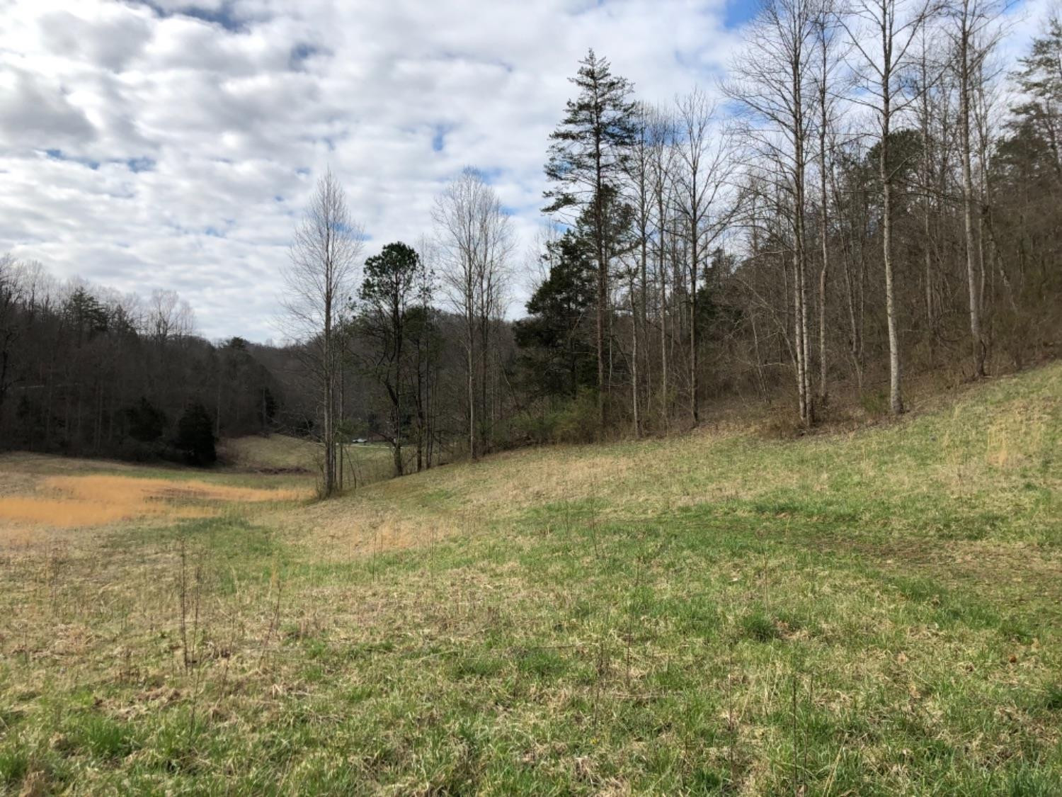 186 Viney Bottom Road McKee, KY 40447 - Photo 46 of 47 Listing Photo