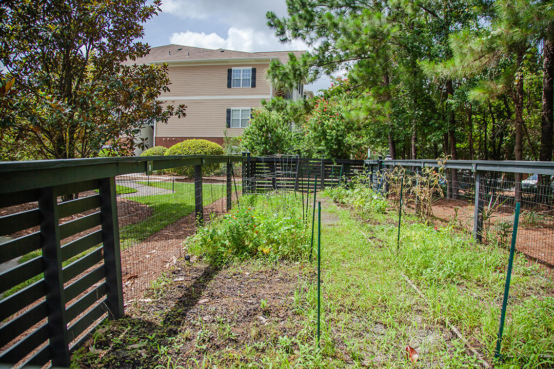 1721 Basildon Road Mount Pleasant, SC 29466 - Photo 27 of 39 1721 Basildon_MG_5373