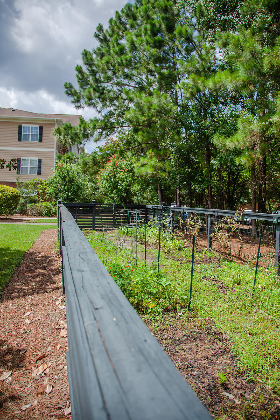 1721 Basildon Road Mount Pleasant, SC 29466 - Photo 28 of 39 1721 Basildon_MG_5375