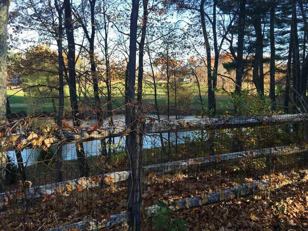 75 Rivka Road Saugerties, NY 12477 - Photo 5 of 29 Photo 6