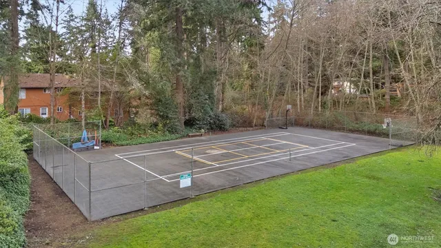 a view of a backyard