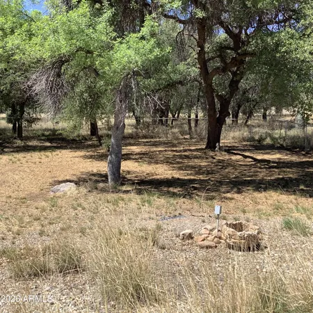 a view of a yard with trees