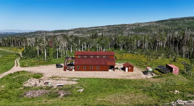a view of a park with large trees