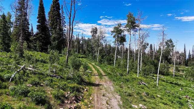 a view of a city with tall trees