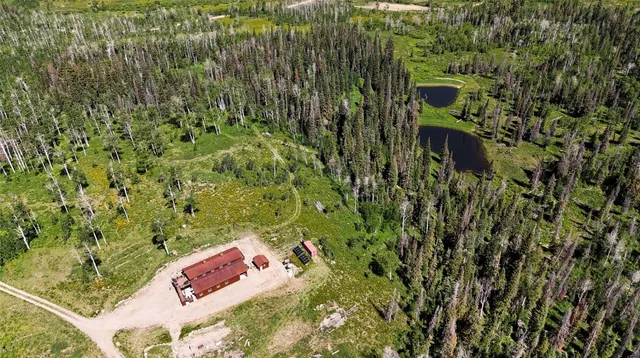 a view of a yard with plants