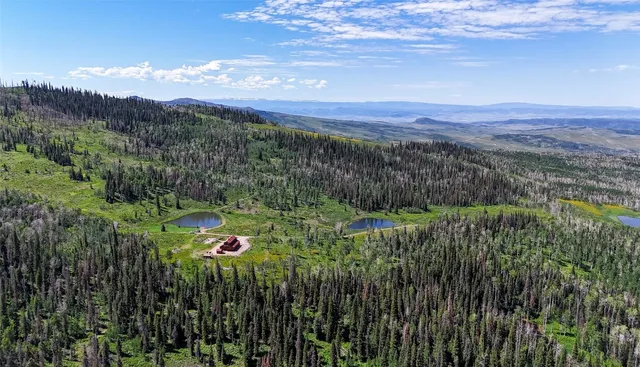 a view of a lush green field with mountains in the background
