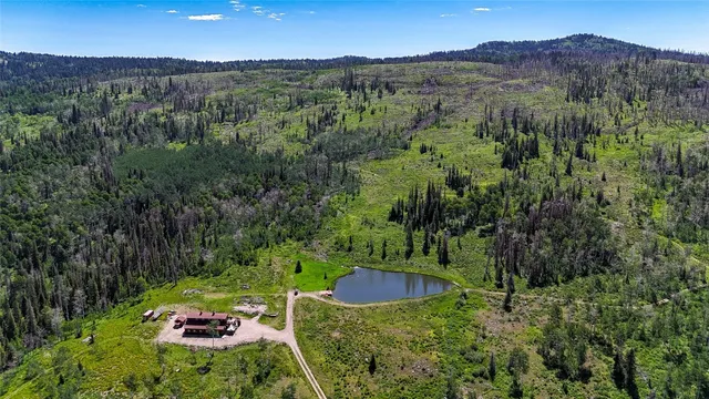 a view of a lush green field with mountains in the background