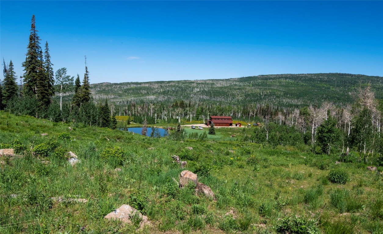 51735 County Road 80 Hayden, CO 81639 - Photo 23 of 46 a view of outdoor space and yard
