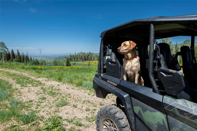 a view of a small car park