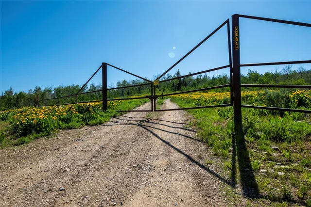 a view of house with a yard