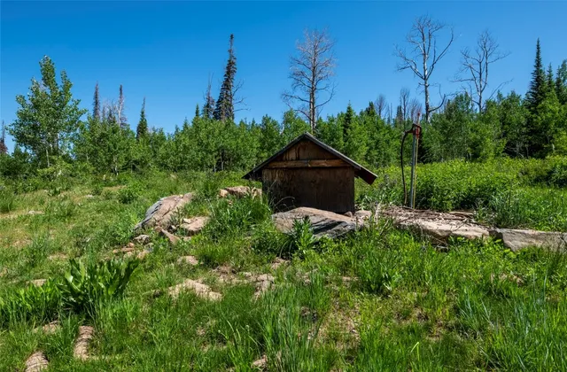 a view of a backyard with plants and outdoor seating