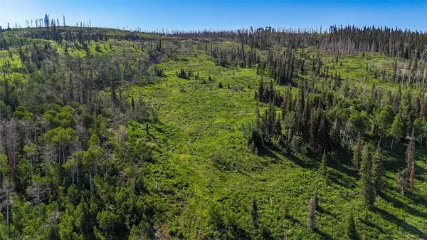 a view of a lush green forest with a lake