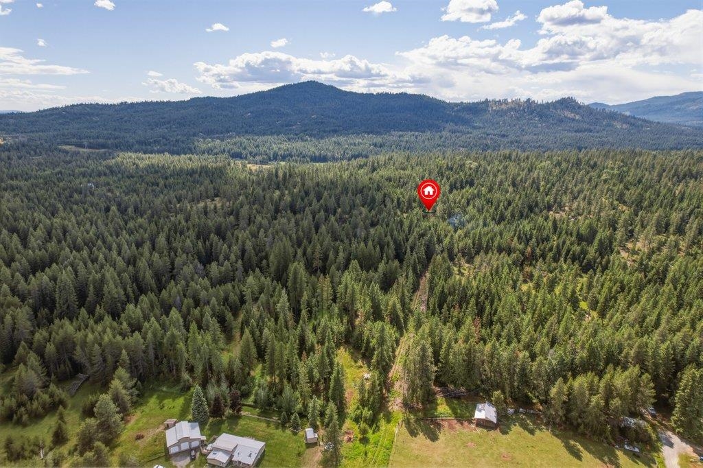 1301 Veit Road Newport, WA 99156 - Photo 8 of 33