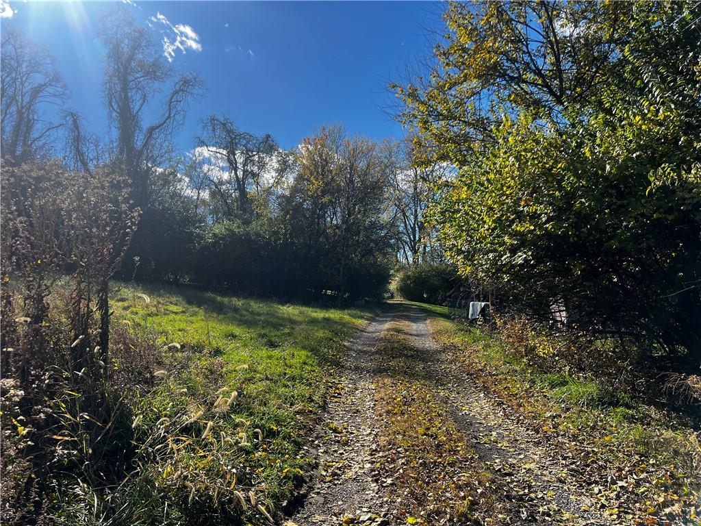 0 Atlas Street Pittsburgh, PA 15235 - Photo 2 of 3 a view of a yard