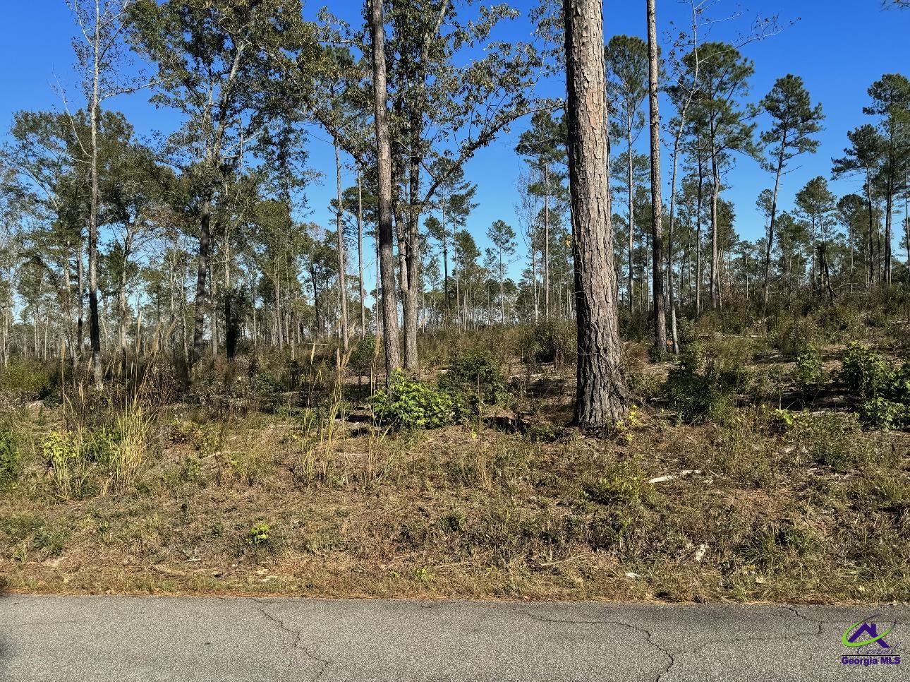 Tract-8 Lower Simmons Road Macon, GA 31220 - Photo 2 of 13