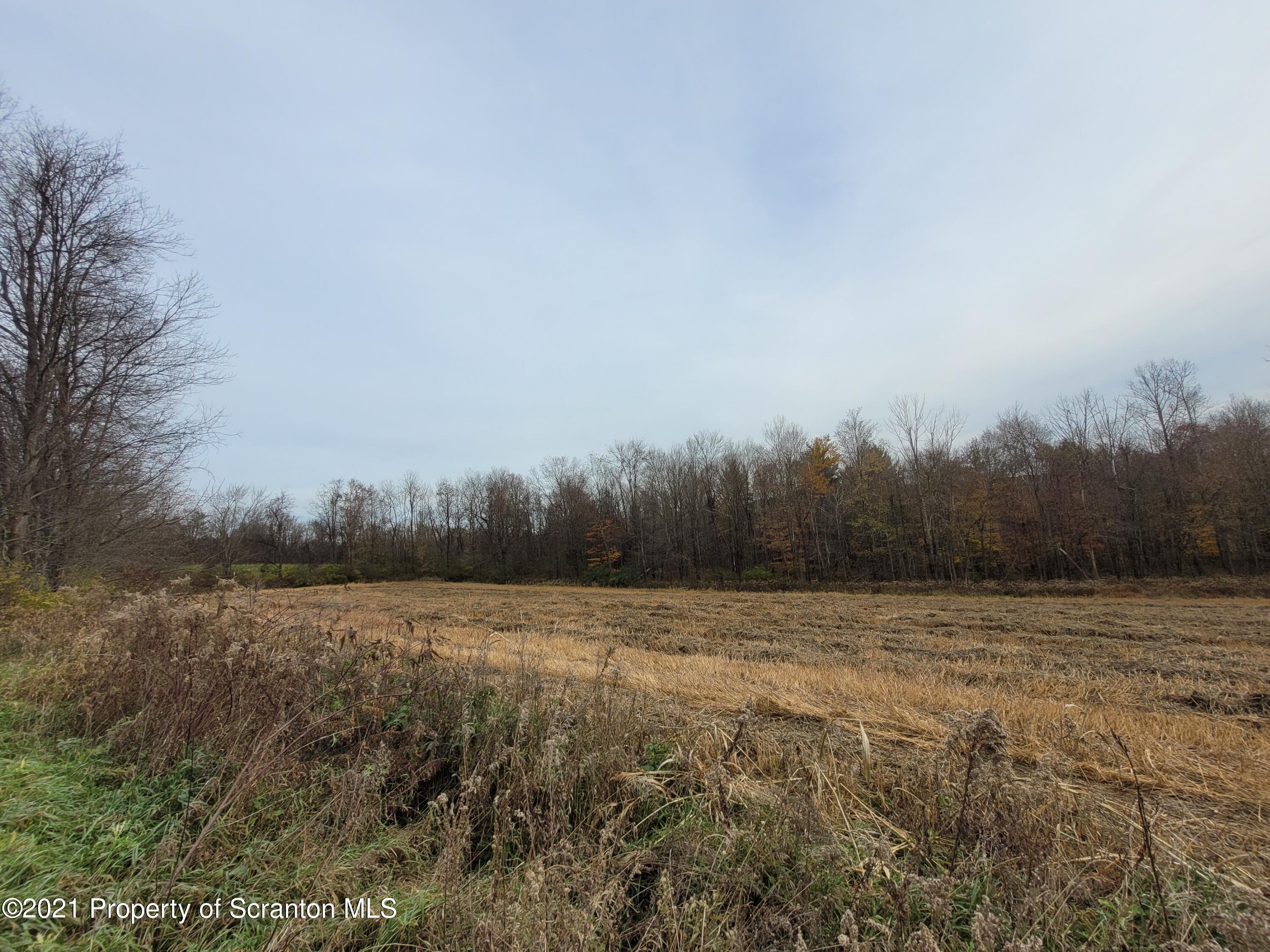 Freeman Road Dalton, PA 18414 - Photo 4 of 12 a view of a field with trees in the background