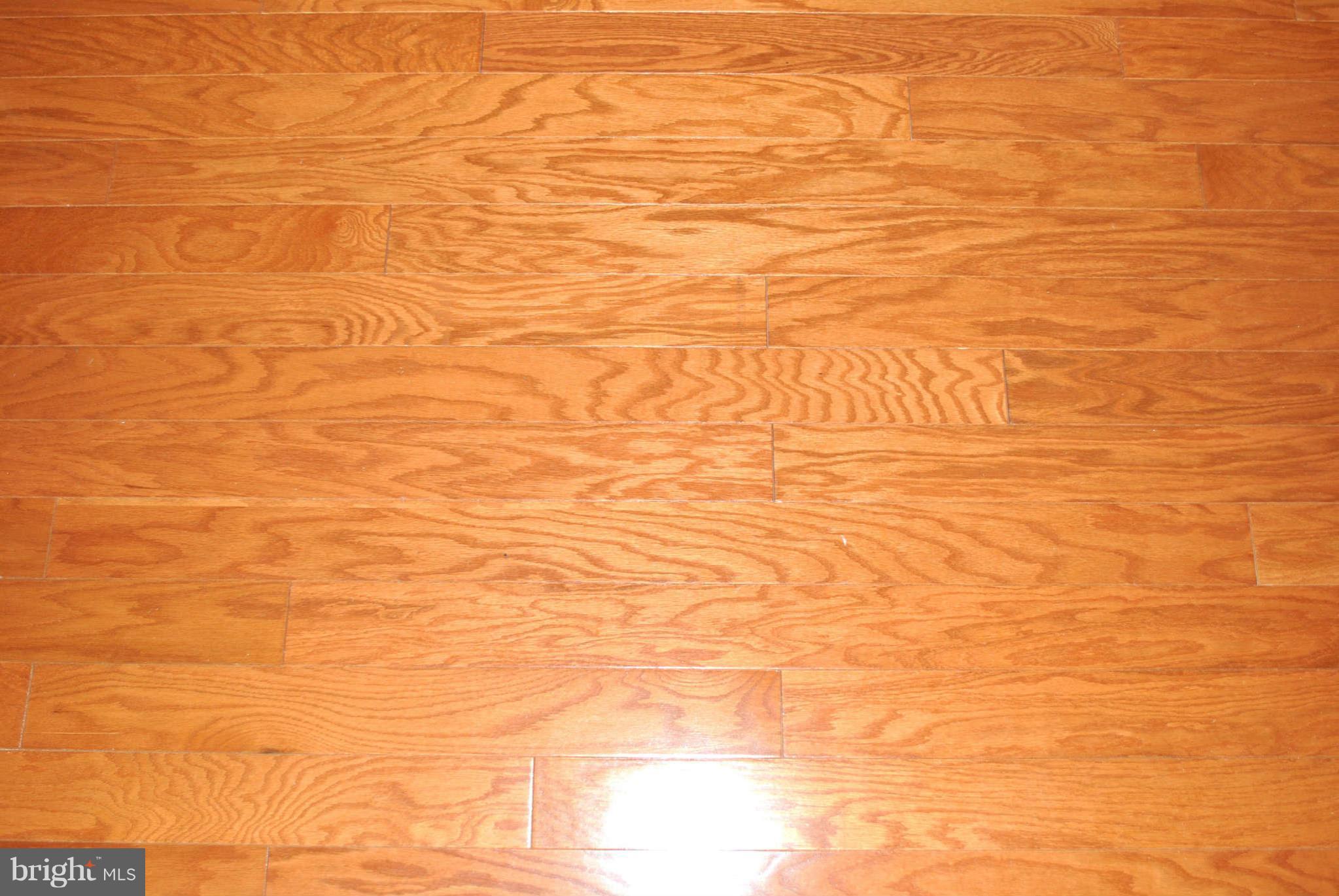 5716 Utrecht Road Baltimore, MD 21206 - Photo 4 of 26 Interior (General)