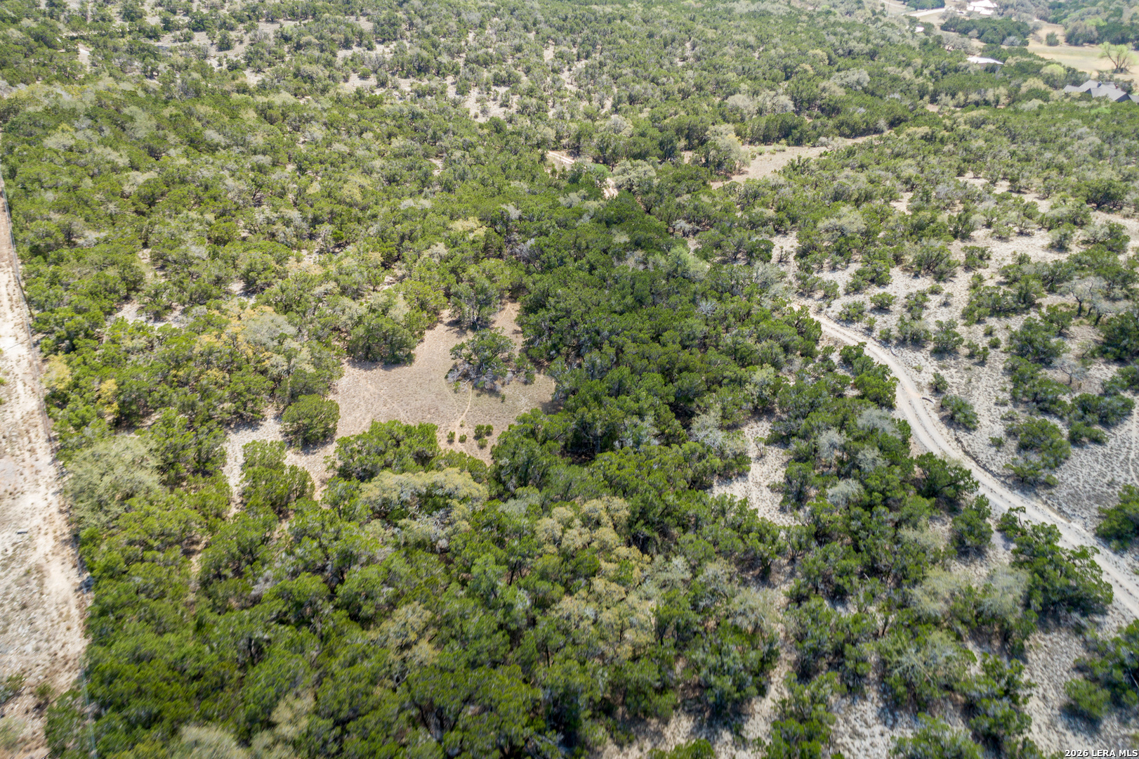 Tbd Rustling Ridge Bulverde, TX 78163 - Photo 22 of 42 a view of a forest with a tree