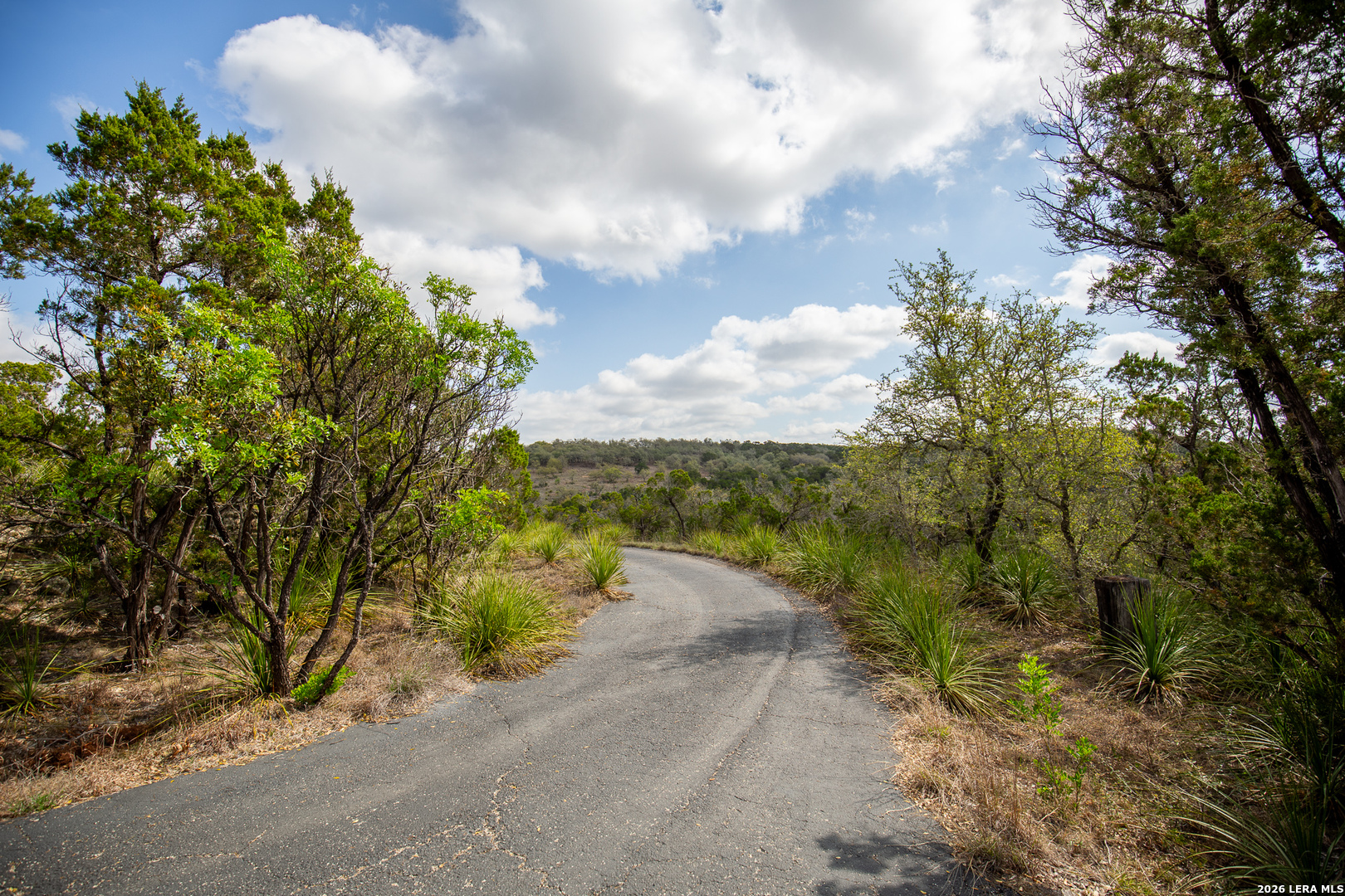 Tbd Rustling Ridge Bulverde, TX 78163 - Photo 26 of 42 a view of a road with a yard