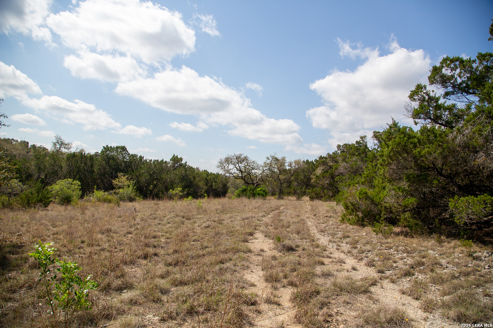 Tbd Rustling Ridge Bulverde, TX 78163 - Photo 31 of 42