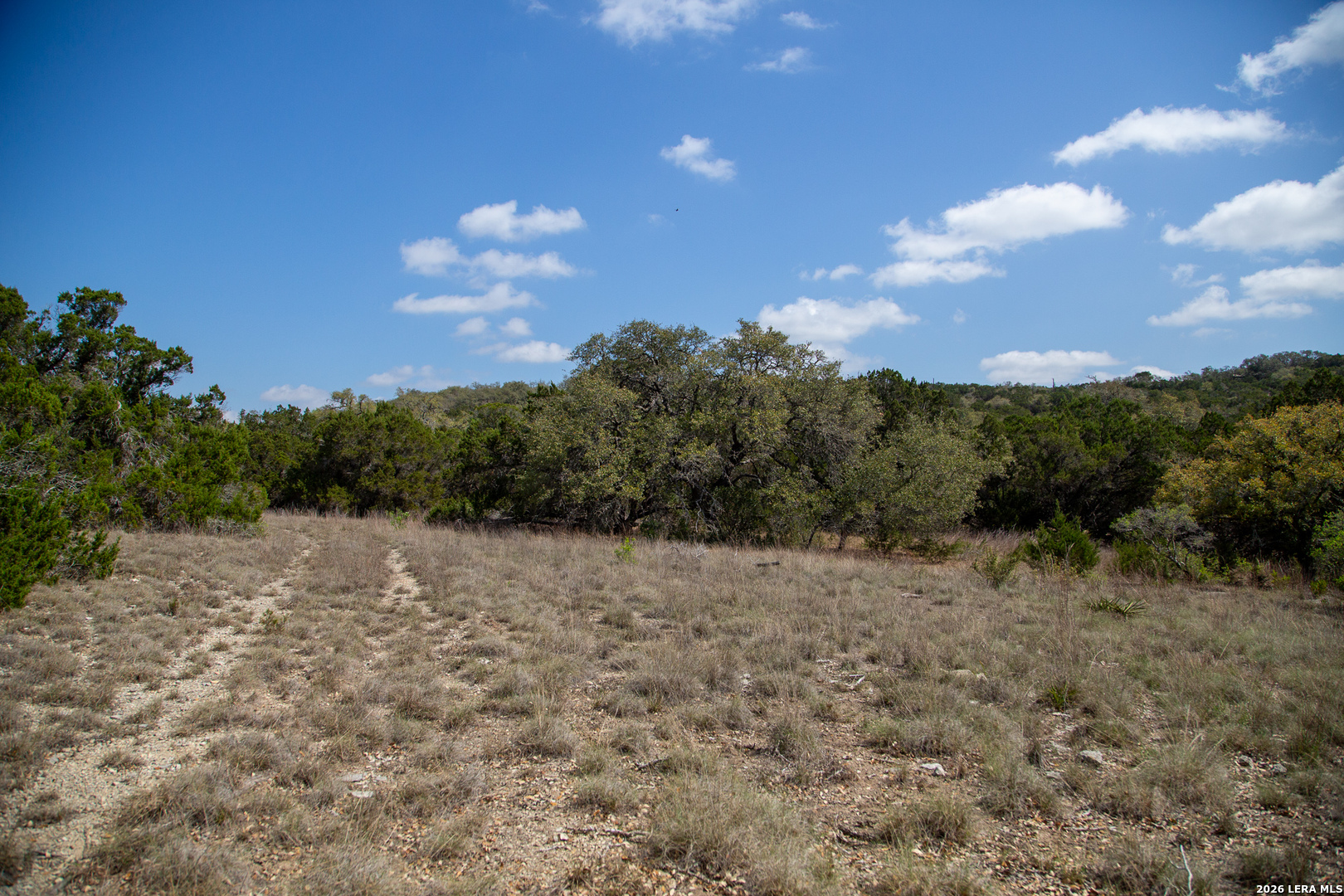 Tbd Rustling Ridge Bulverde, TX 78163 - Photo 34 of 42 a backyard of a house with lots of green space
