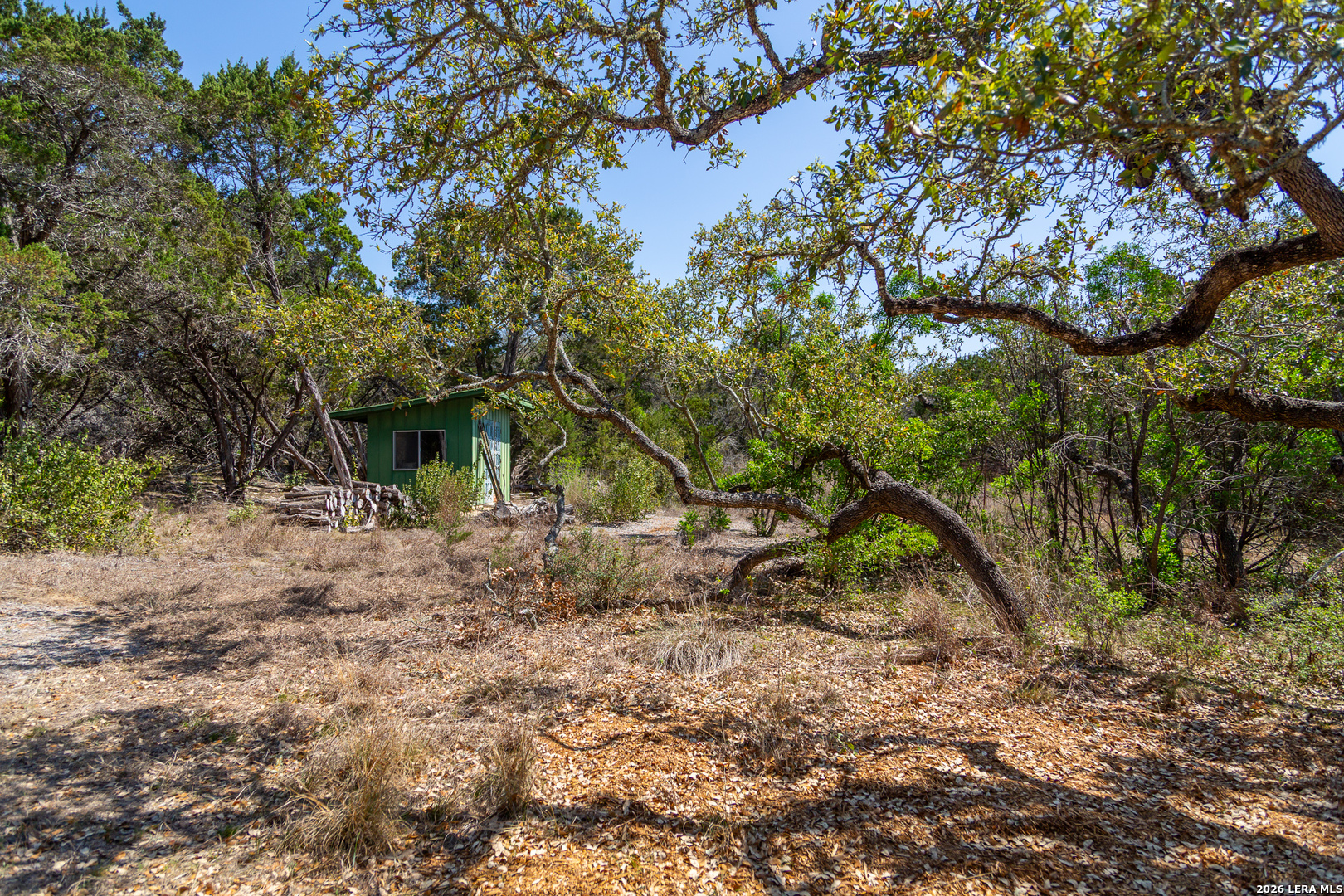 Tbd Rustling Ridge Bulverde, TX 78163 - Photo 41 of 42 a backyard of a house with lots of plants and large tree