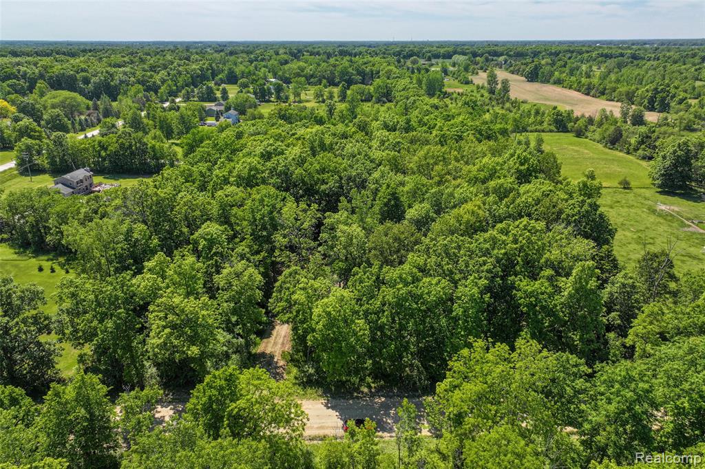 3075 Crandall Road Howell, MI 48855 - Photo 3 of 25