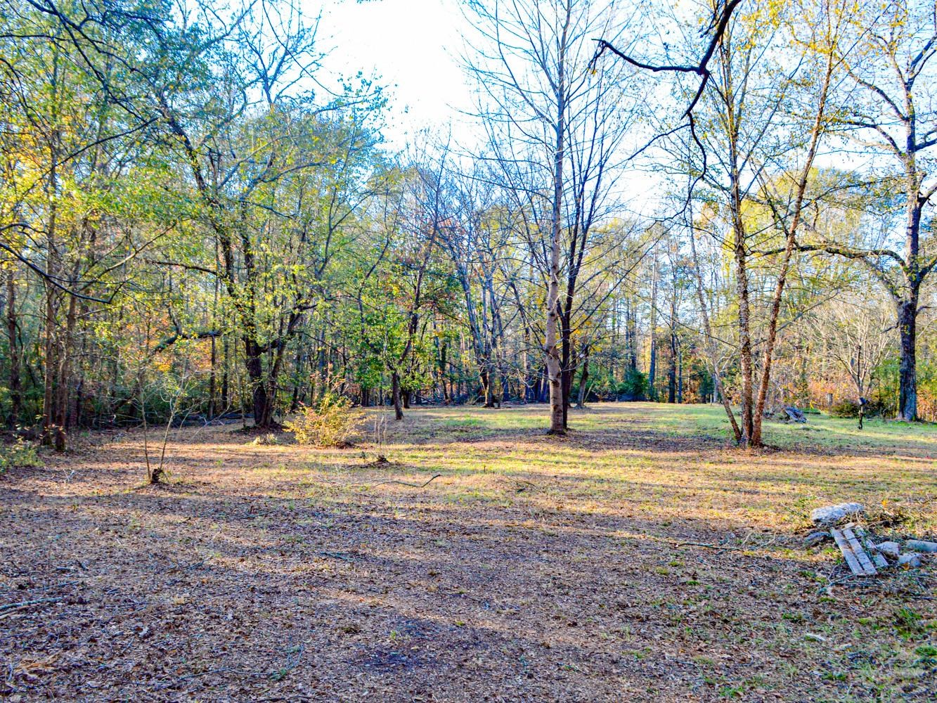 Lake Cunningham Road Greer, SC 29651 - Photo 15 of 22