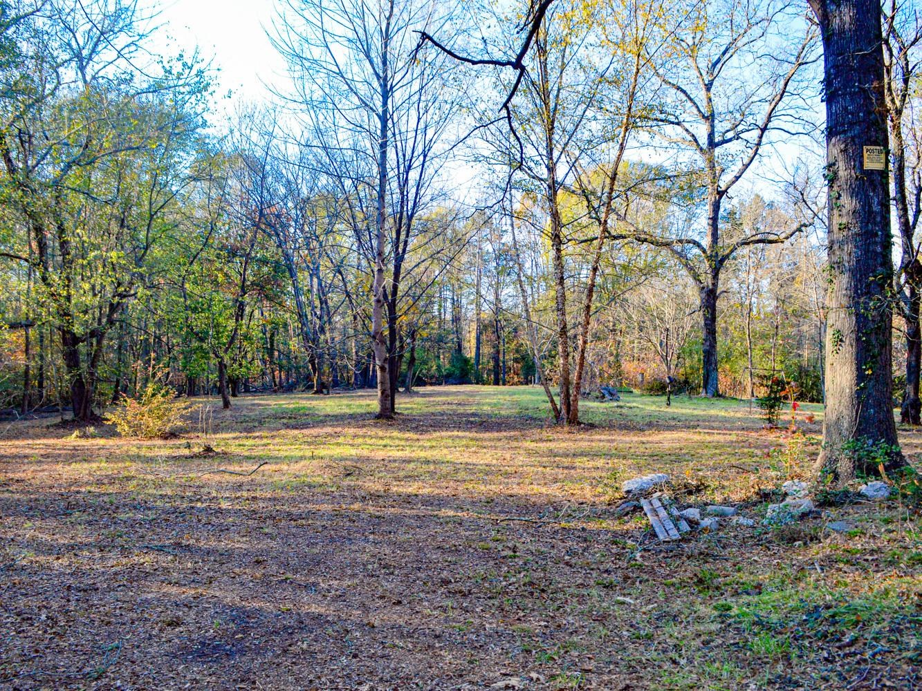 Lake Cunningham Road Greer, SC 29651 - Photo 16 of 22