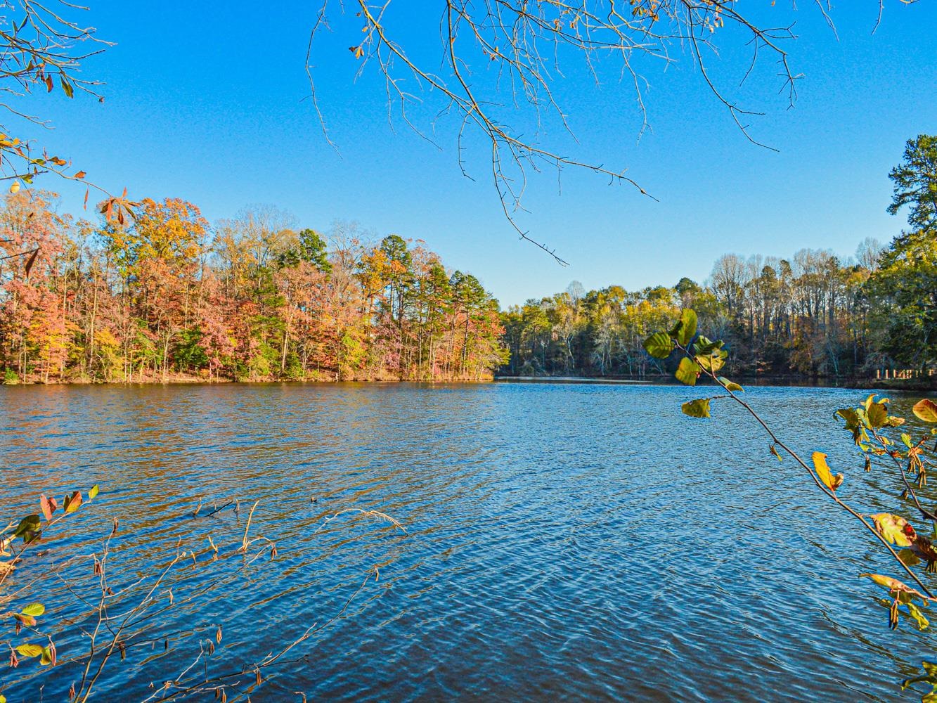 Lake Cunningham Road Greer, SC 29651 - Photo 8 of 22