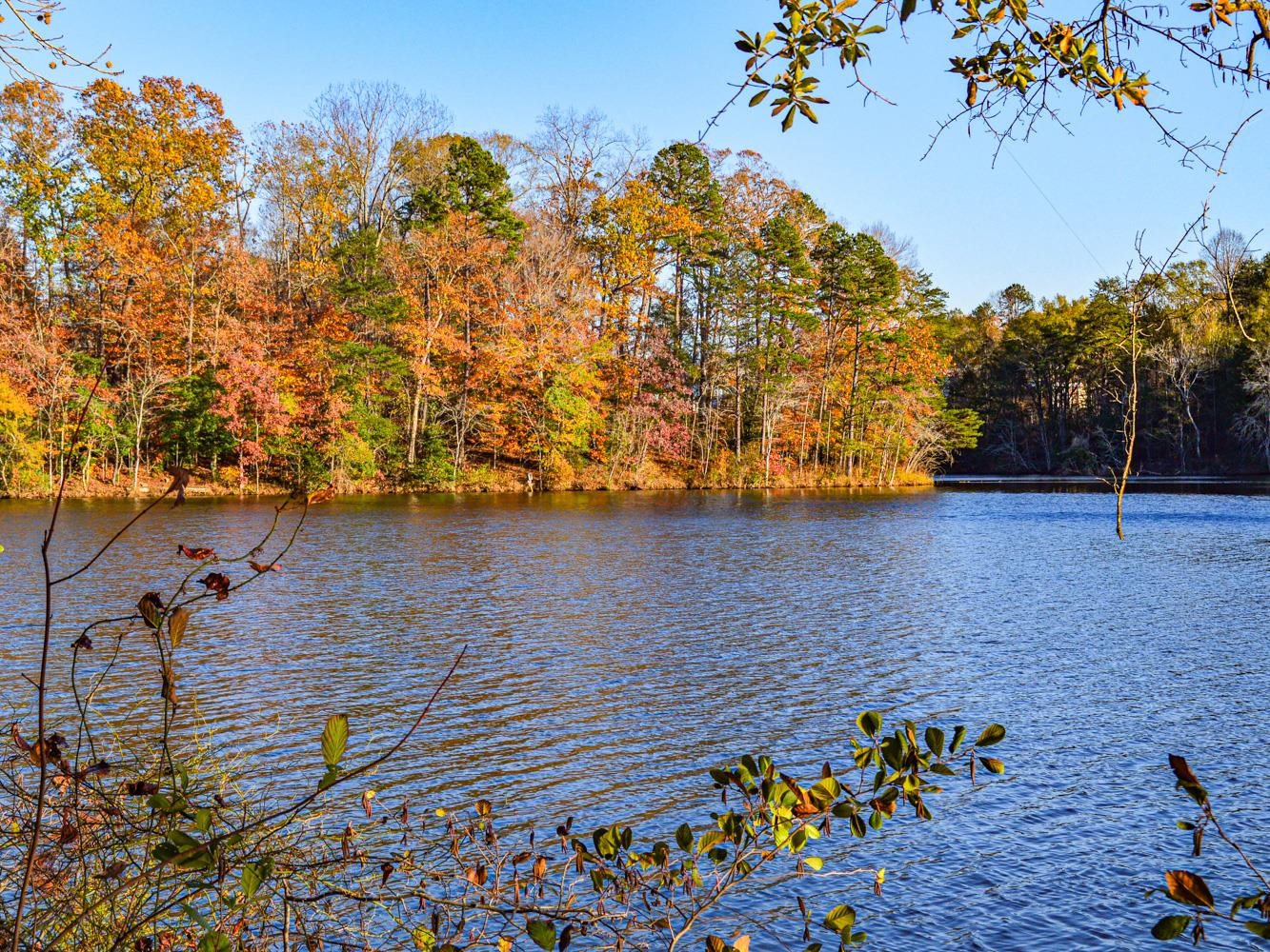 Lake Cunningham Road Greer, SC 29651 - Photo 10 of 22