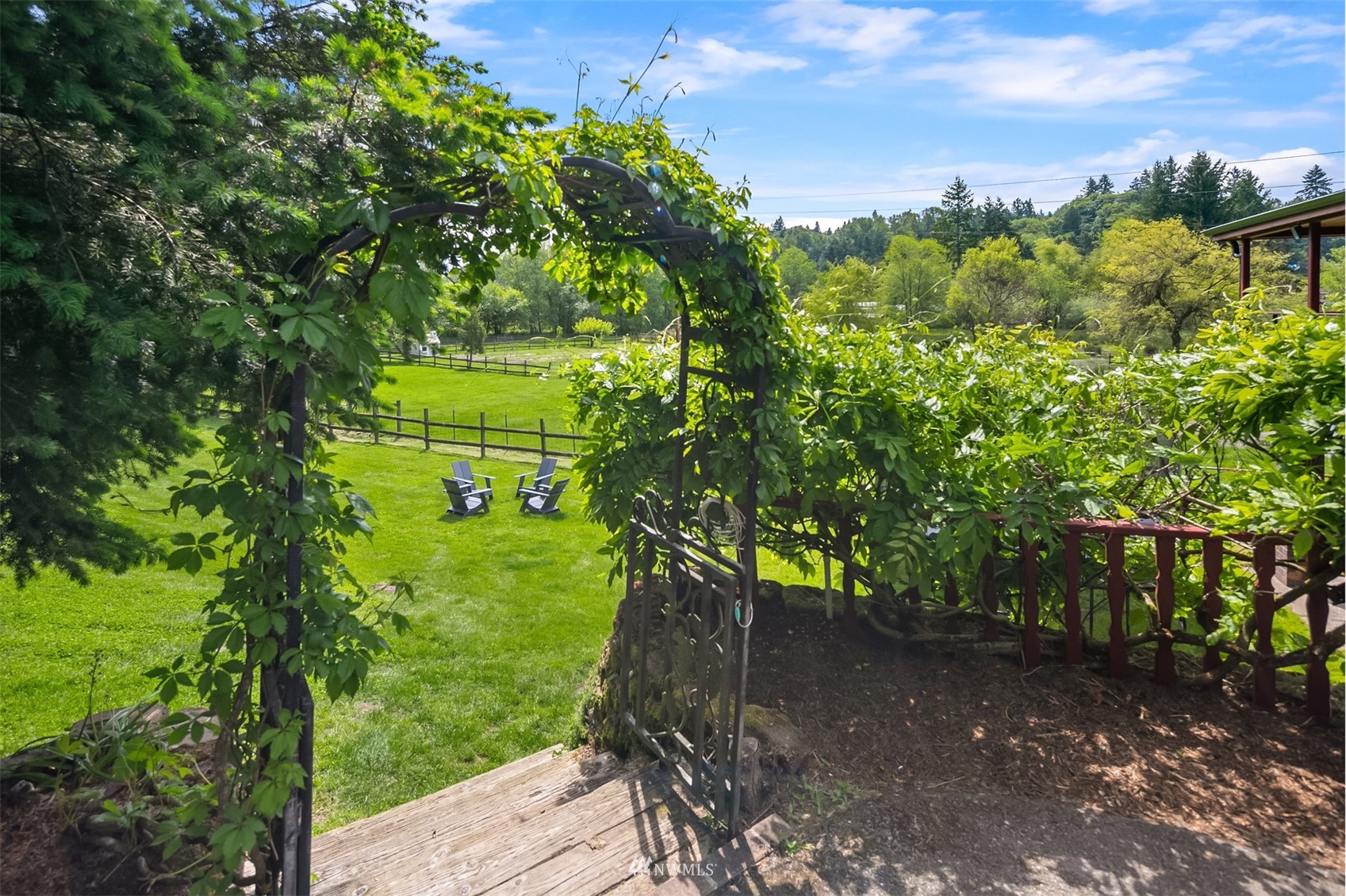 17227 Southeast May Valley Road Renton, WA 98059 - Photo 32 of 40 a lush green forest with lots of trees