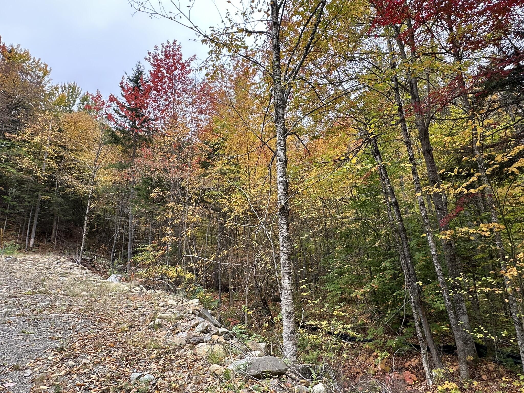 Lot #b-1 Mountain Road Stratton, ME 04982 - Photo 12 of 22 IMG_2664