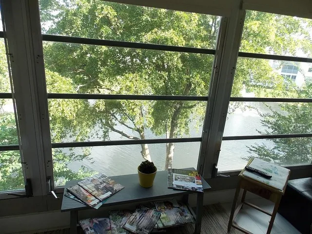 a living room with large trees and furniture