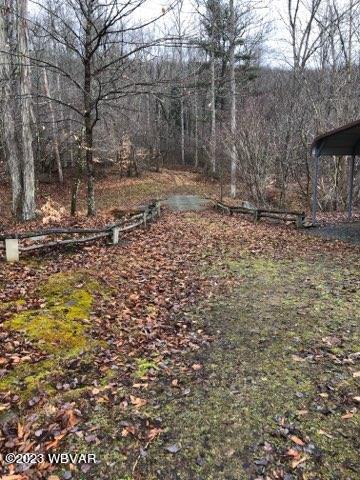 0 Wallis Run Road Trout Run, PA 17771 - Photo 1 of 10 Gallery Image 1