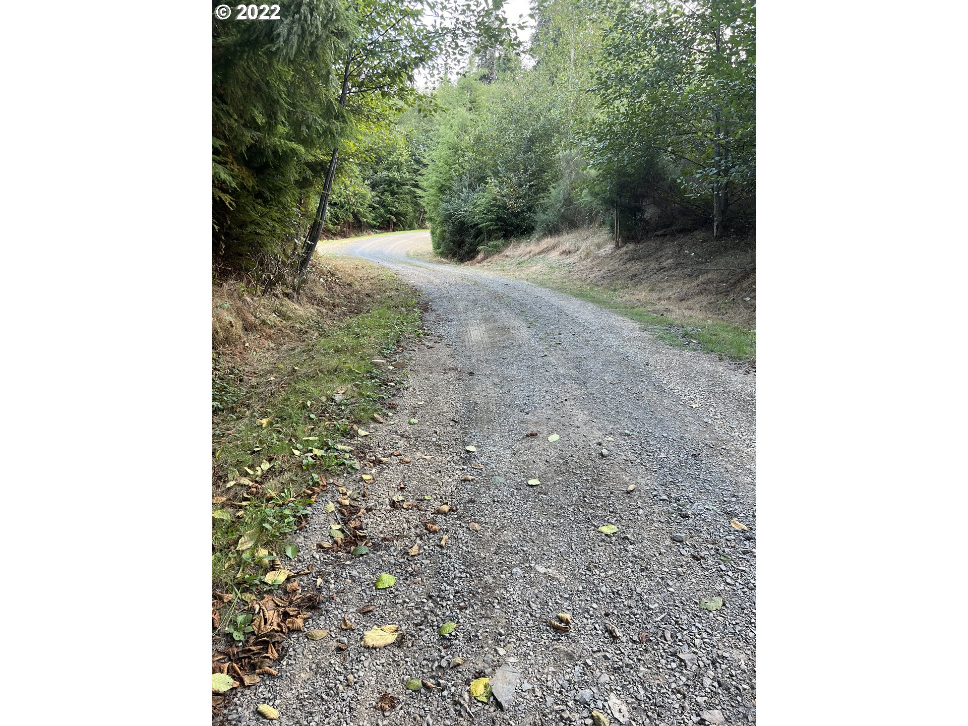 141 Parpala Road Naselle, WA 98638 - Photo 10 of 26 Driveway