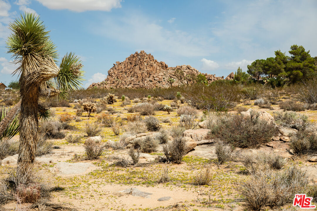63670 Wagon Wheel Road Joshua Tree, CA 92252 - Photo 31 of 37 a view of a yard