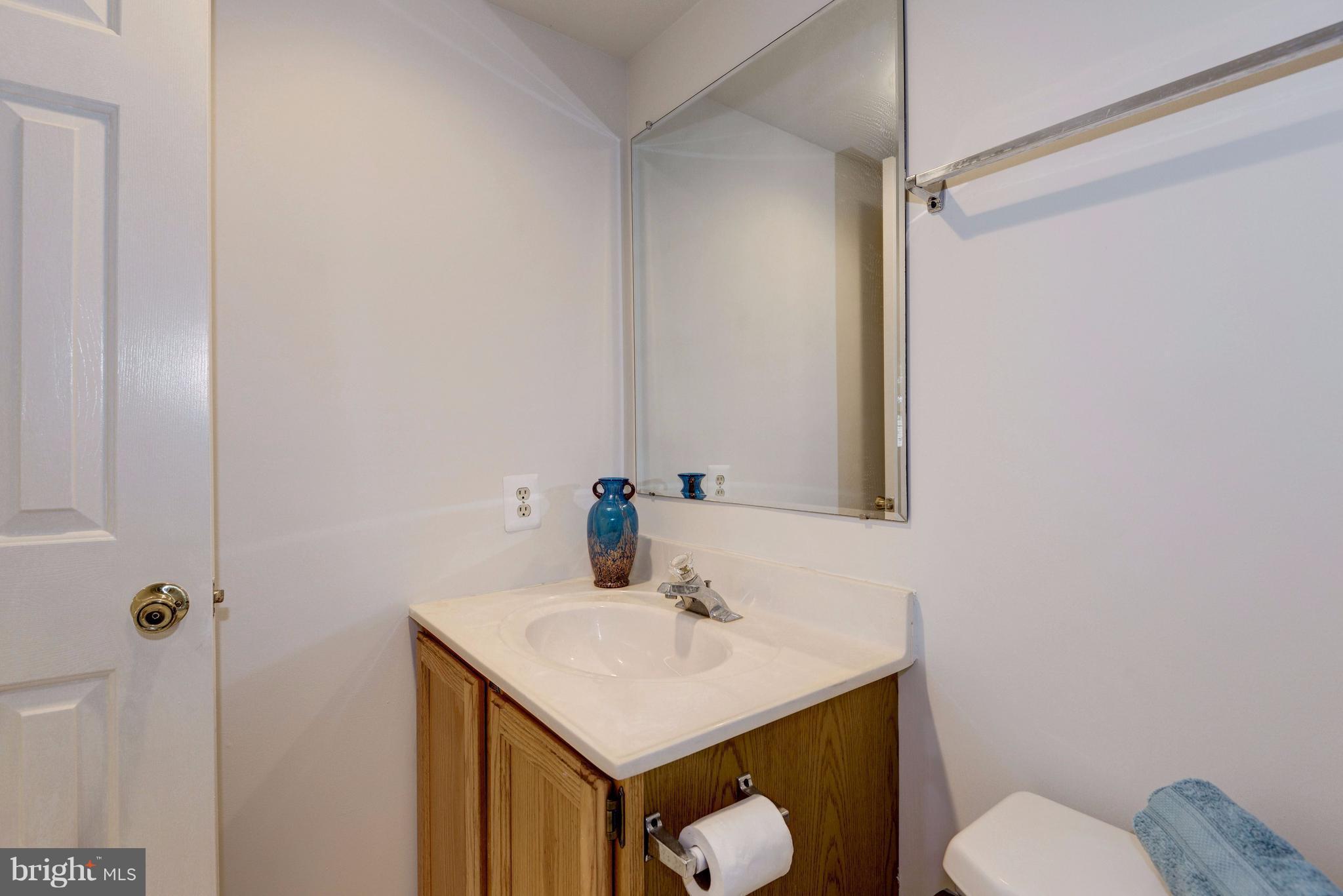 8400 Bells Mill Road Potomac, MD 20854 - Photo 26 of 30 Lower Level Full Bath