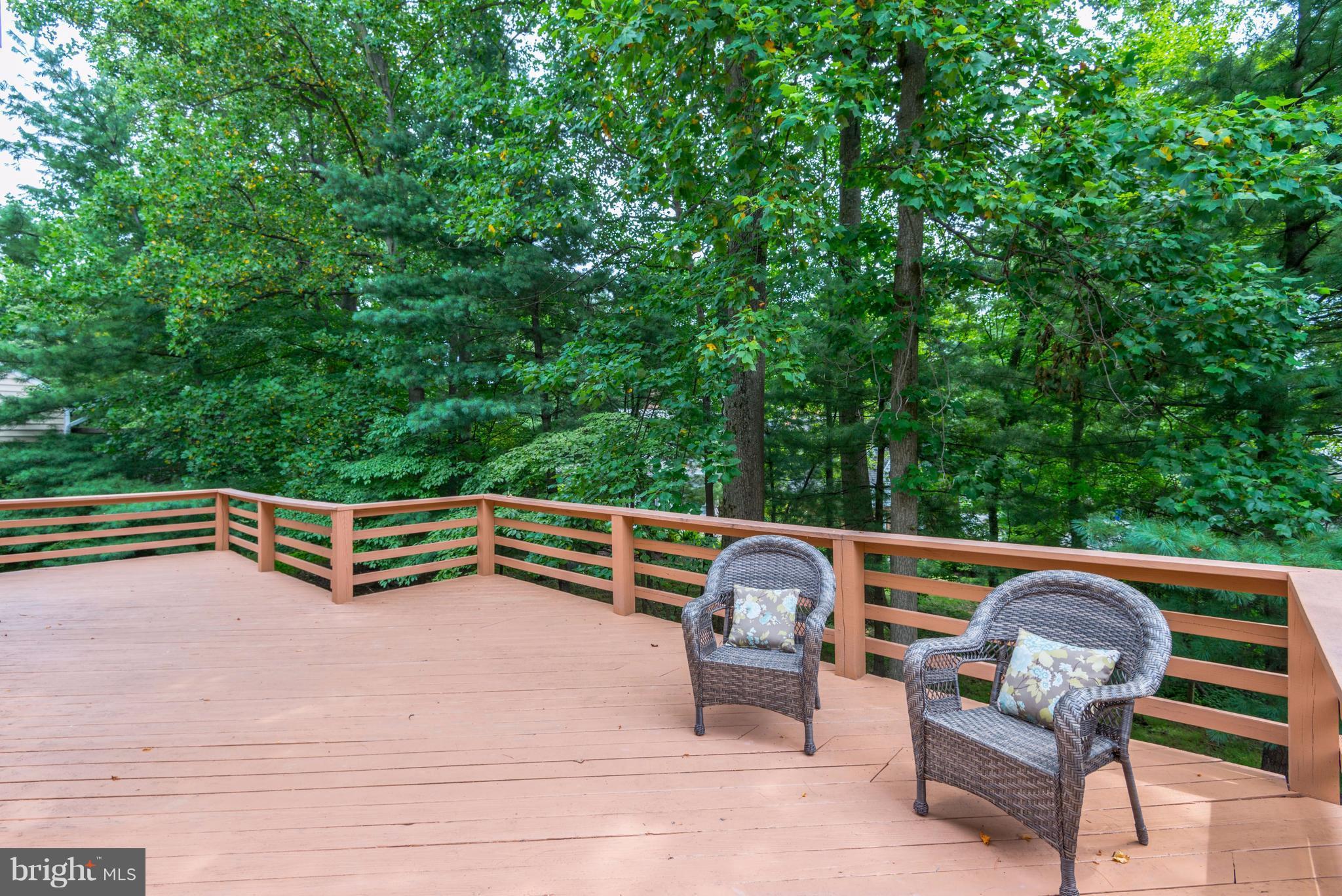 8400 Bells Mill Road Potomac, MD 20854 - Photo 27 of 30 Deck View Left