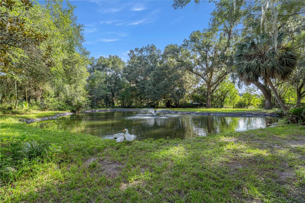 16250 Southwest 20th Avenue Road Ocala, FL 34473 - Photo 47 of 75