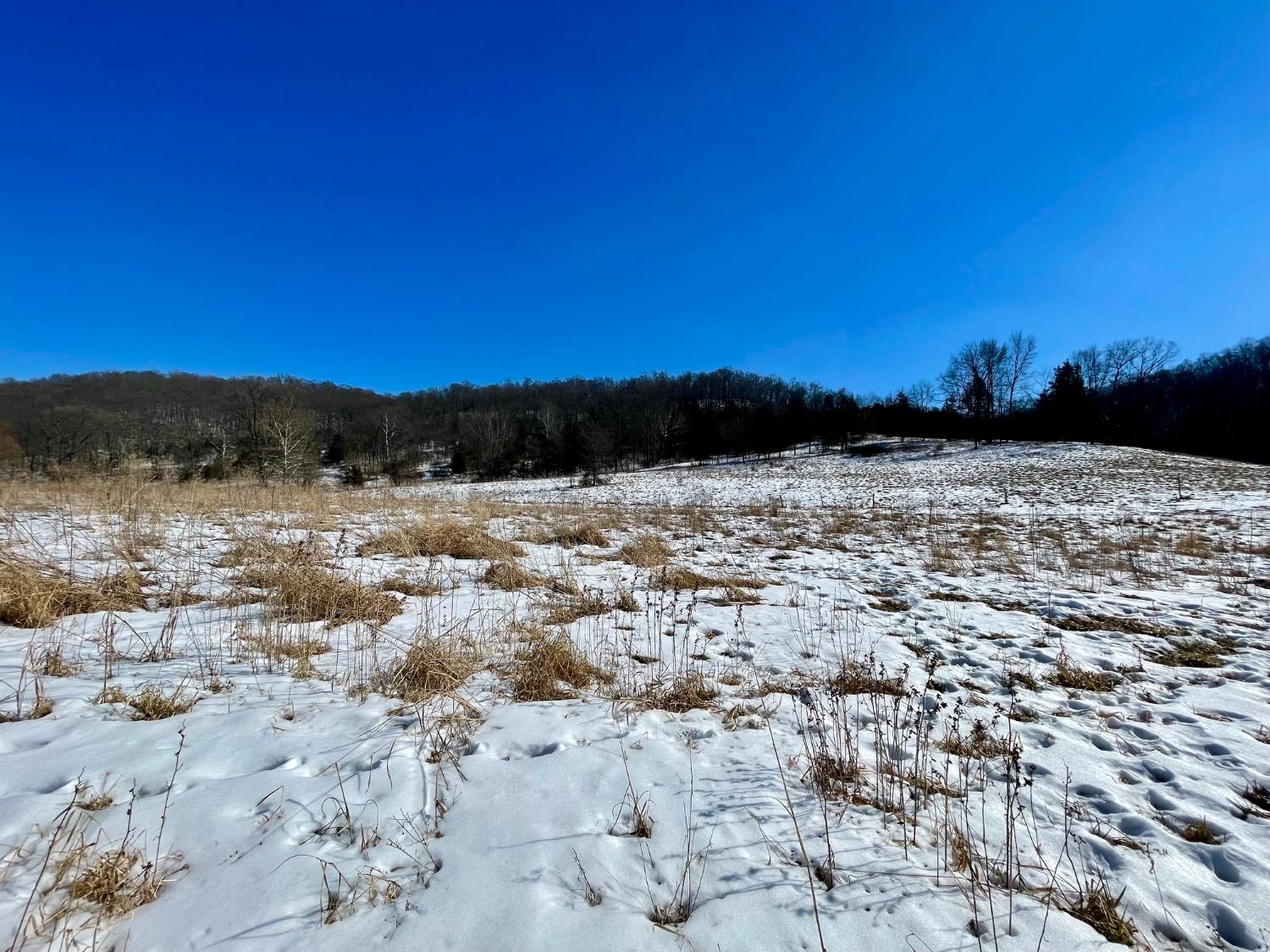 6033 Siemon Road Brookville, IN 47012 - Photo 31 of 62