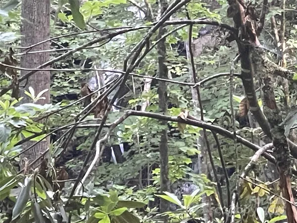 $89,000 | 2600 Canada Road, Tuckasegee, NC 28783